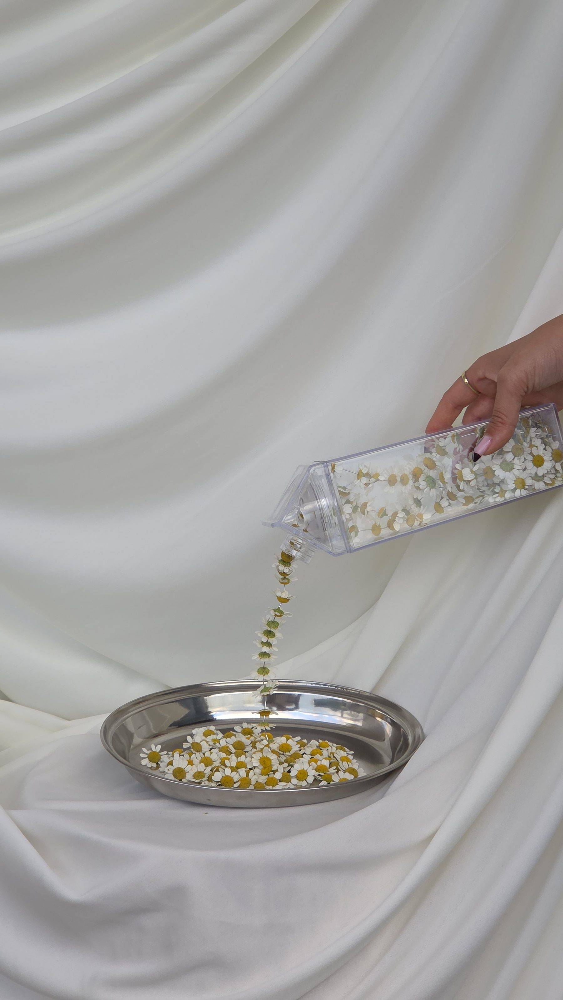 Floral art installation