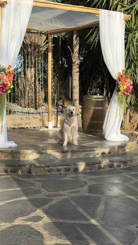 Chuppah ceremony arch